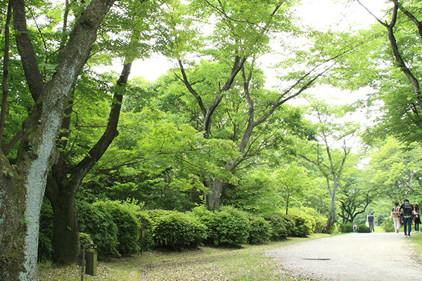 愛知県森林公園